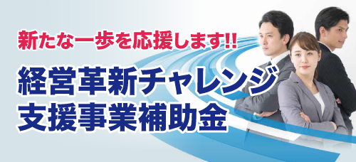 経営革新チャレンジ支援事業補助金